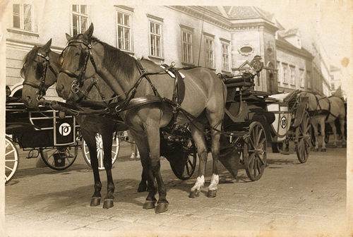 皮件洗染,皮革洗染,皮革清洗,皮革染色,皮革硬化4